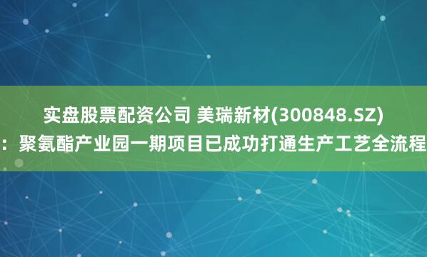 实盘股票配资公司 美瑞新材(300848.SZ)：聚氨酯产业园一期项目已成功打通生产工艺全流程