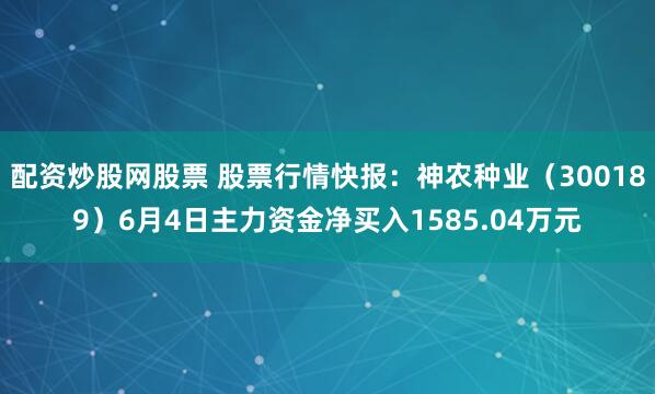配资炒股网股票 股票行情快报：神农种业（300189）6月4日主力资金净买入1585.04万元